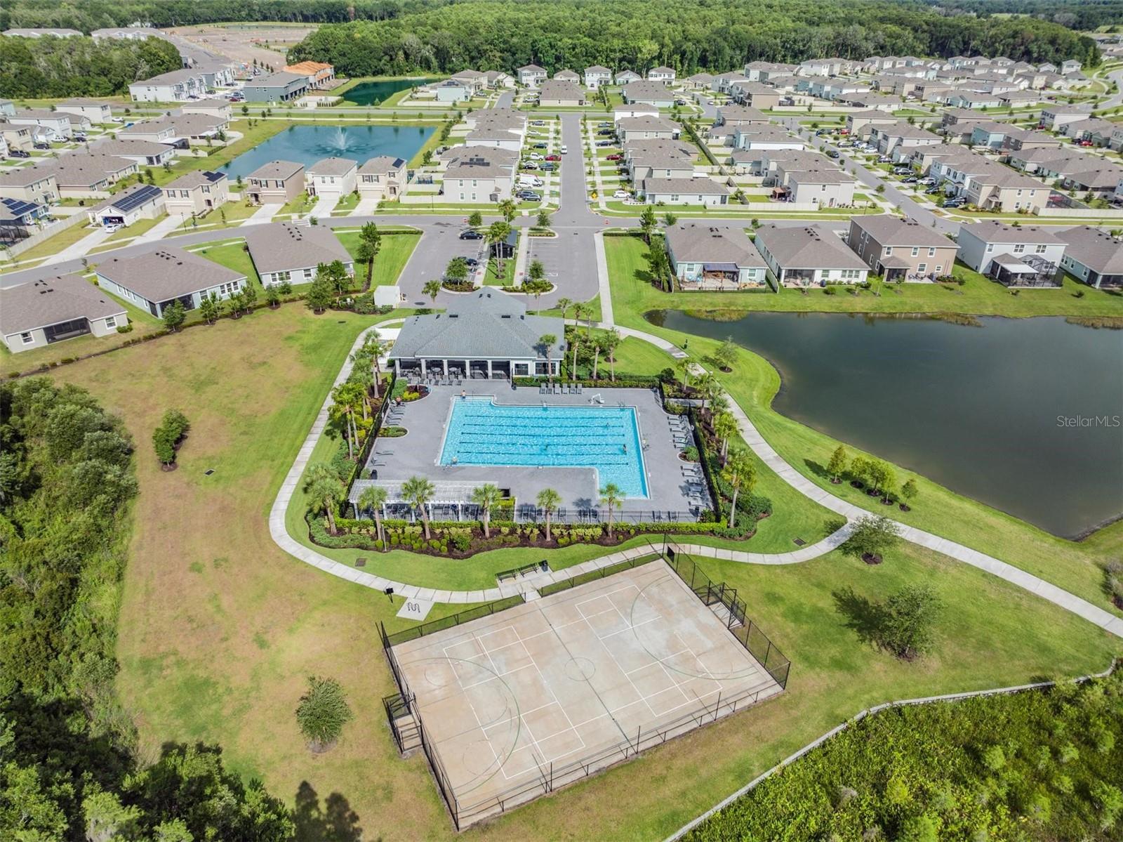 32664 Dashel Palm Ln, Wesley Chapel, FL 33543