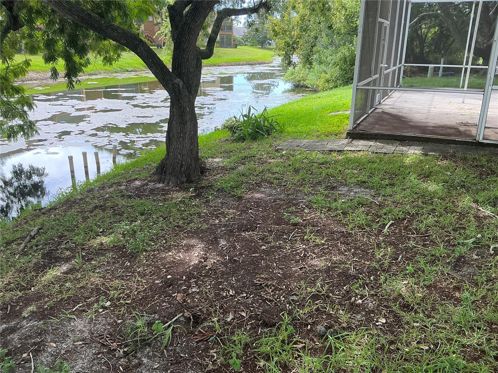 3900 Edgemont Dr, New Port Richey, FL 34652