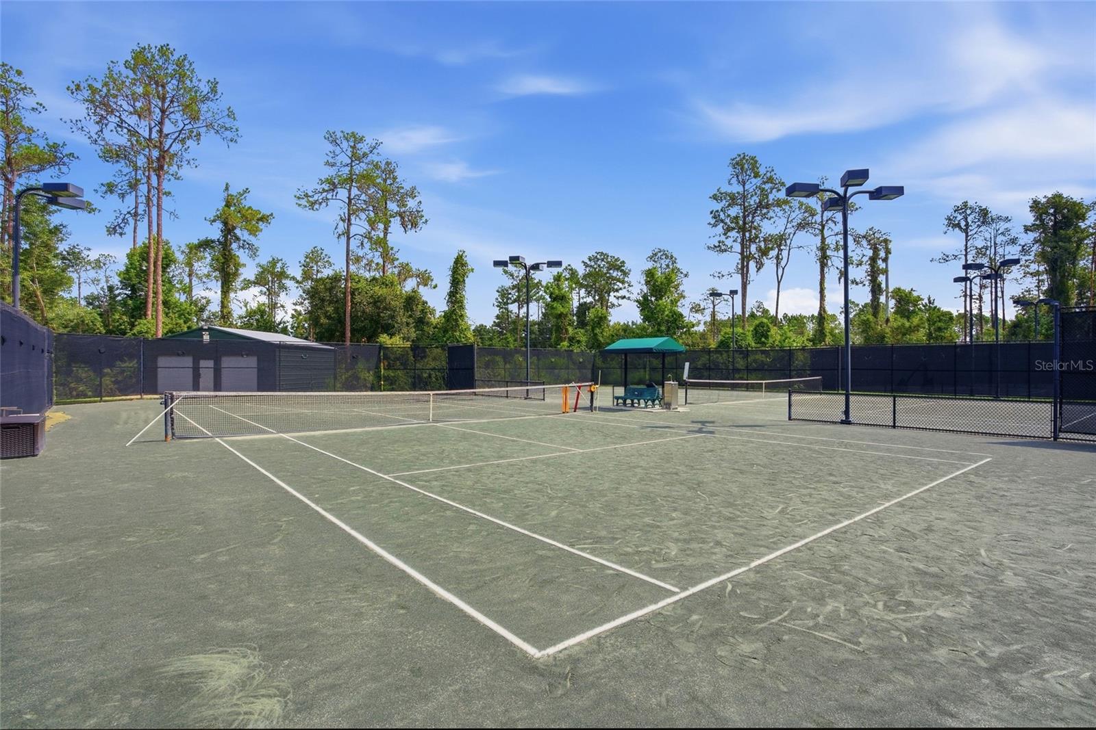 2306 Spring Hollow Loop, Wesley Chapel, FL 33544