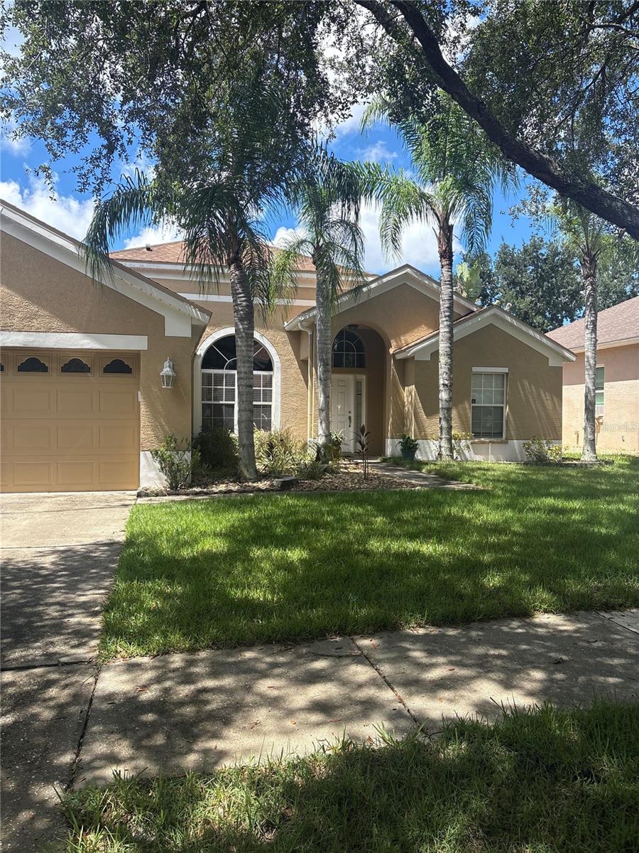 13522 White Elk Loop, Tampa, FL 33626