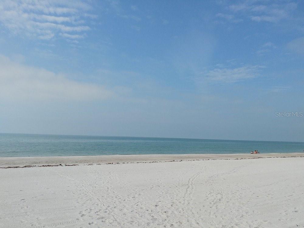 13101 Gulf Blvd #1605, Madeira Beach, FL 33708