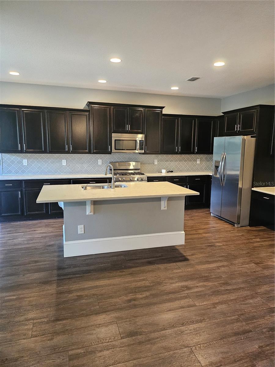 15718 Starling Dale Ln, Lithia, FL 33547