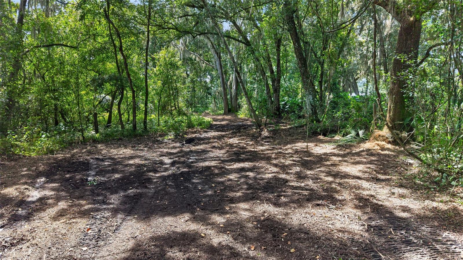 00 W Knights Griffin Rd, Plant City, FL 33565