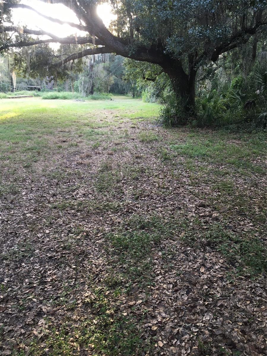 7805 Turkey Creek Rd, Plant City, FL 33567