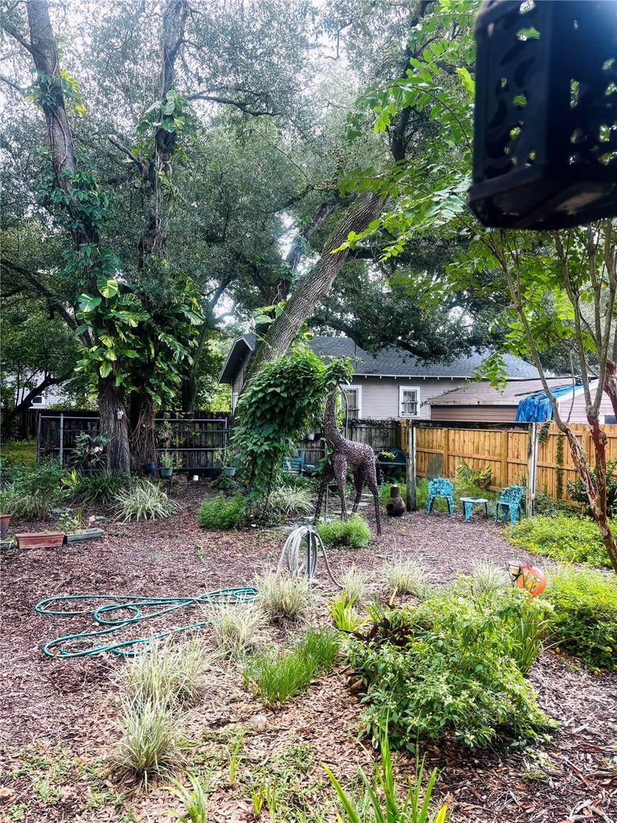 6703 N Central Ave, Tampa, FL 33604