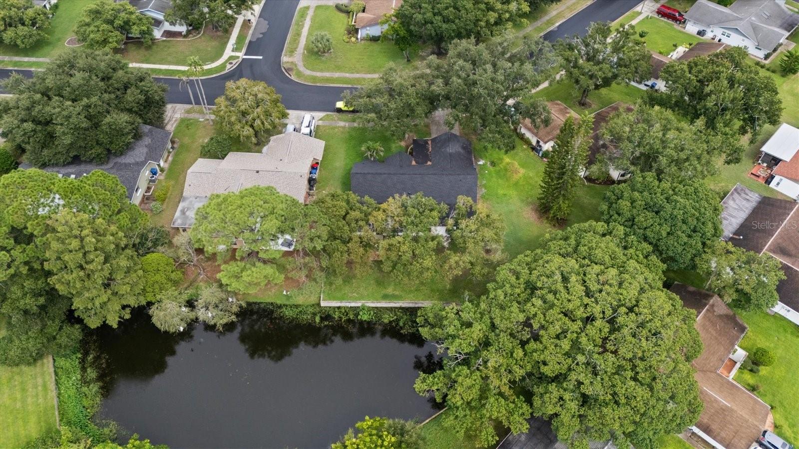 3655 Erin Brook Dr, New Port Richey, FL 34655