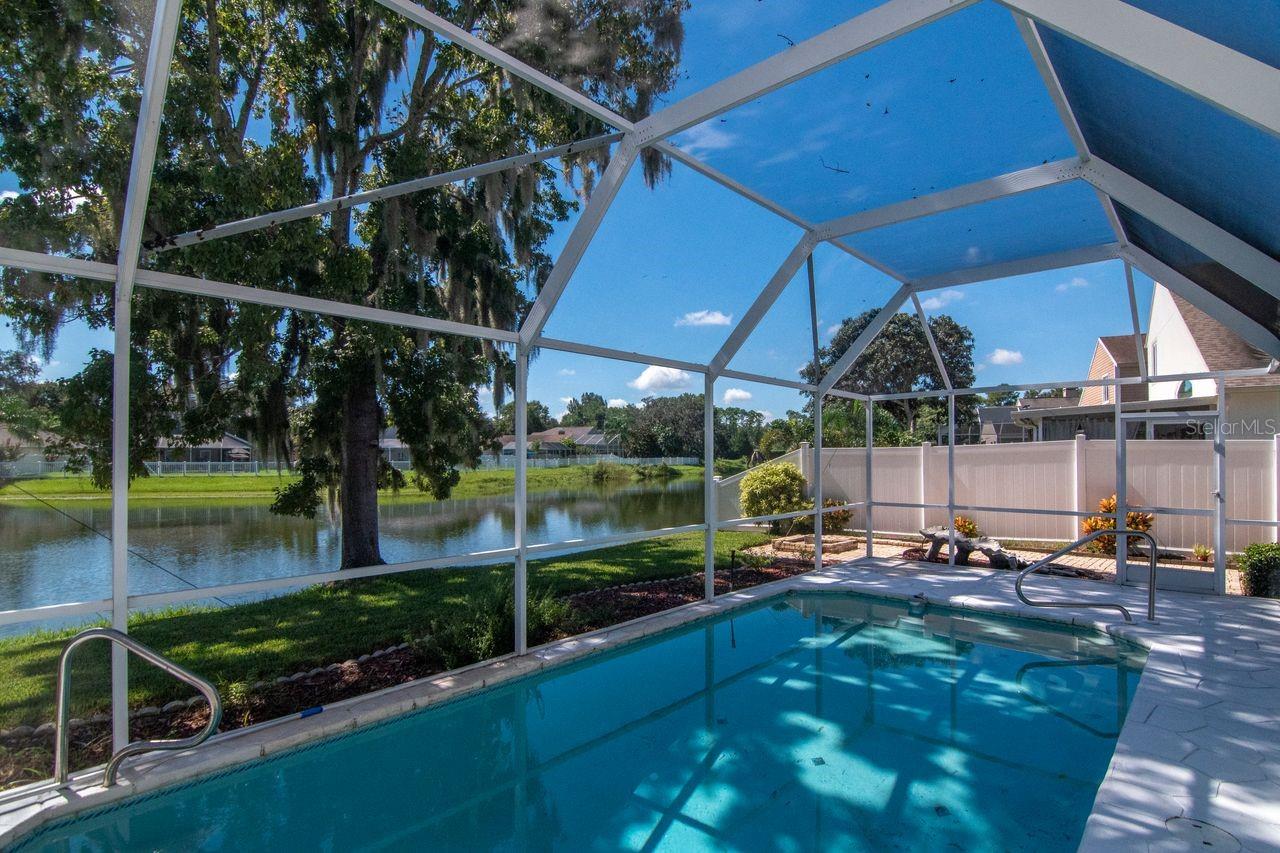 4842 Wellbrook Dr, New Port Richey, FL 34653