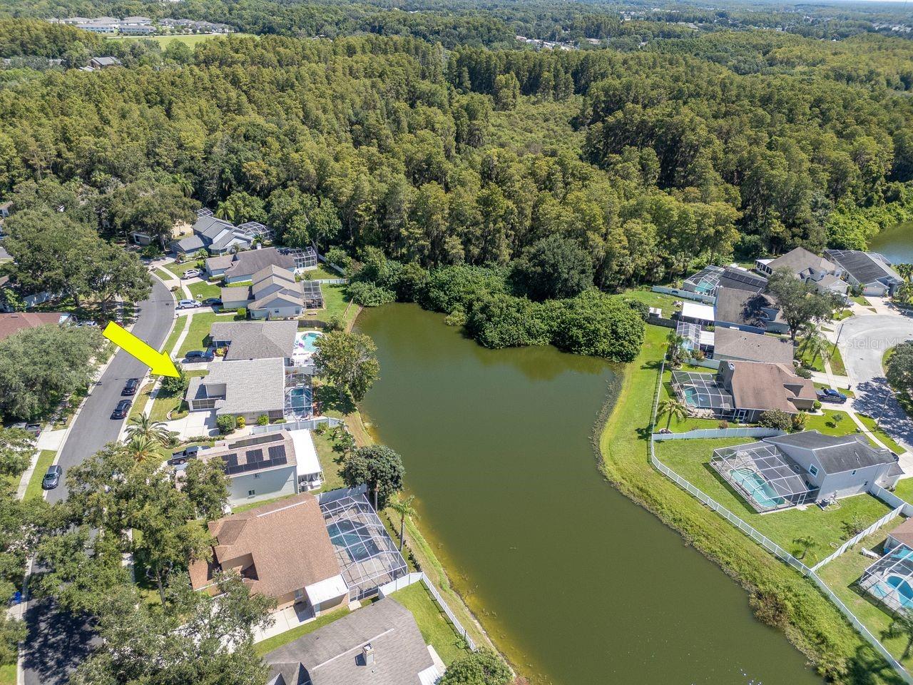 4842 Wellbrook Dr, New Port Richey, FL 34653