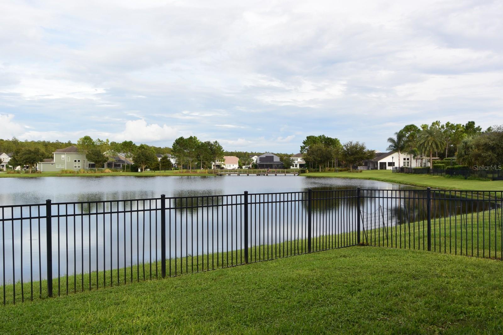 14735 Caravan Ave, Odessa, FL 33556
