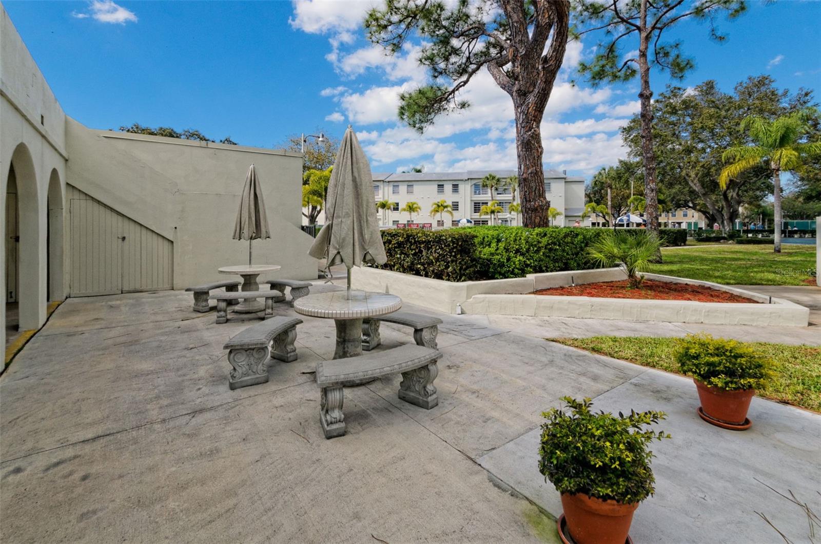 2700 Bayshore Blvd #2204, Dunedin, FL 34698