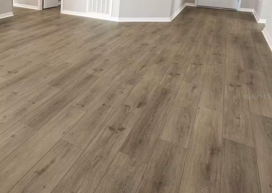 251 Blossoming Lily Ave, Ruskin, FL 33570