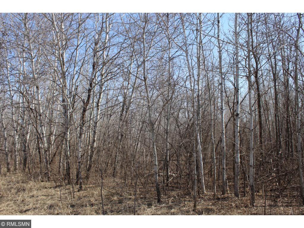 60xx 170th Ave, Oak Park, MN 56357