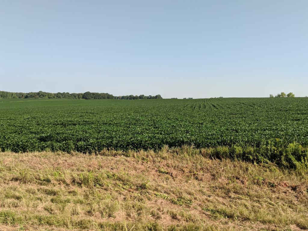 TBD 270th St E, Medford, MN 55049