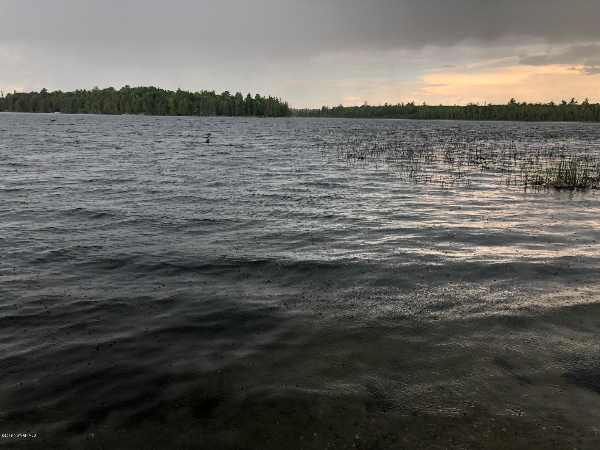 30353 Squirrel Way NE, Pennington, MN 56663