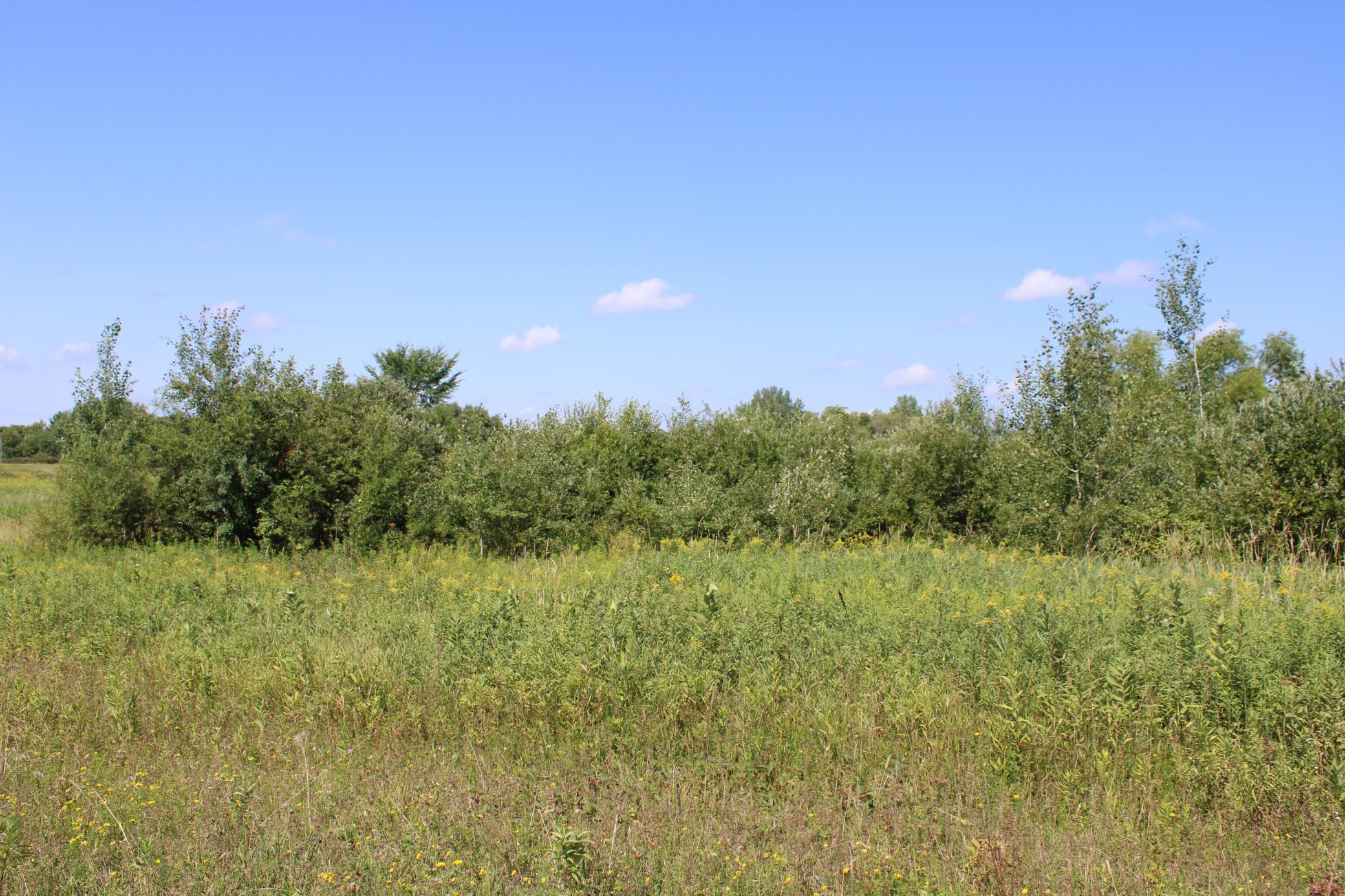 XXX 80th St, Oak Park, MN 56357