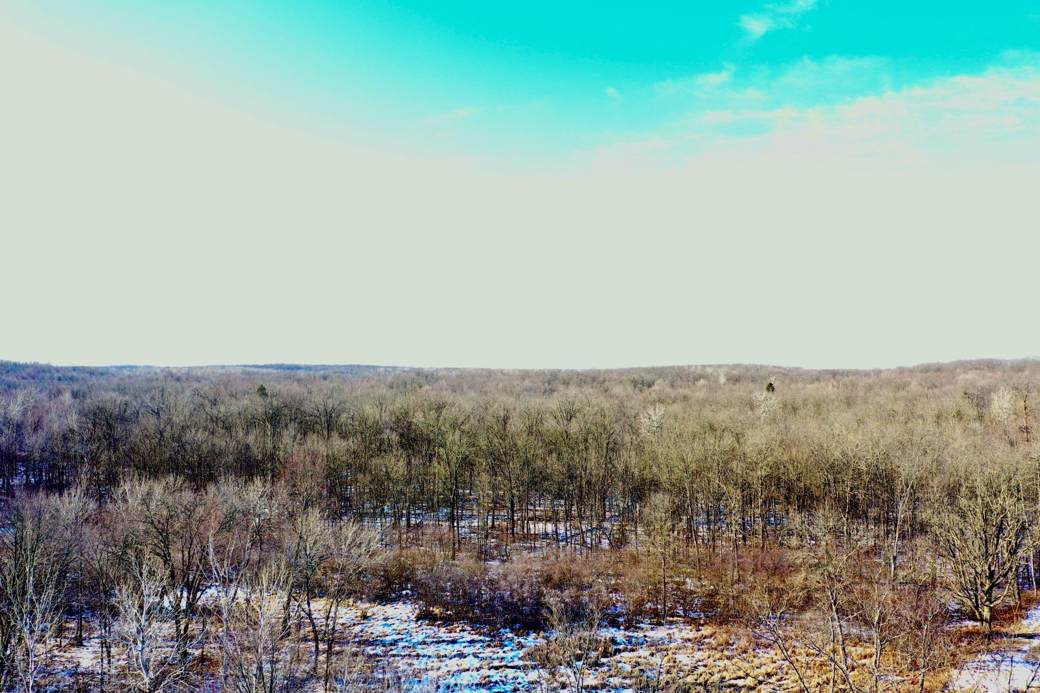 47129 Fleming Logging, Hinckley, MN 55037