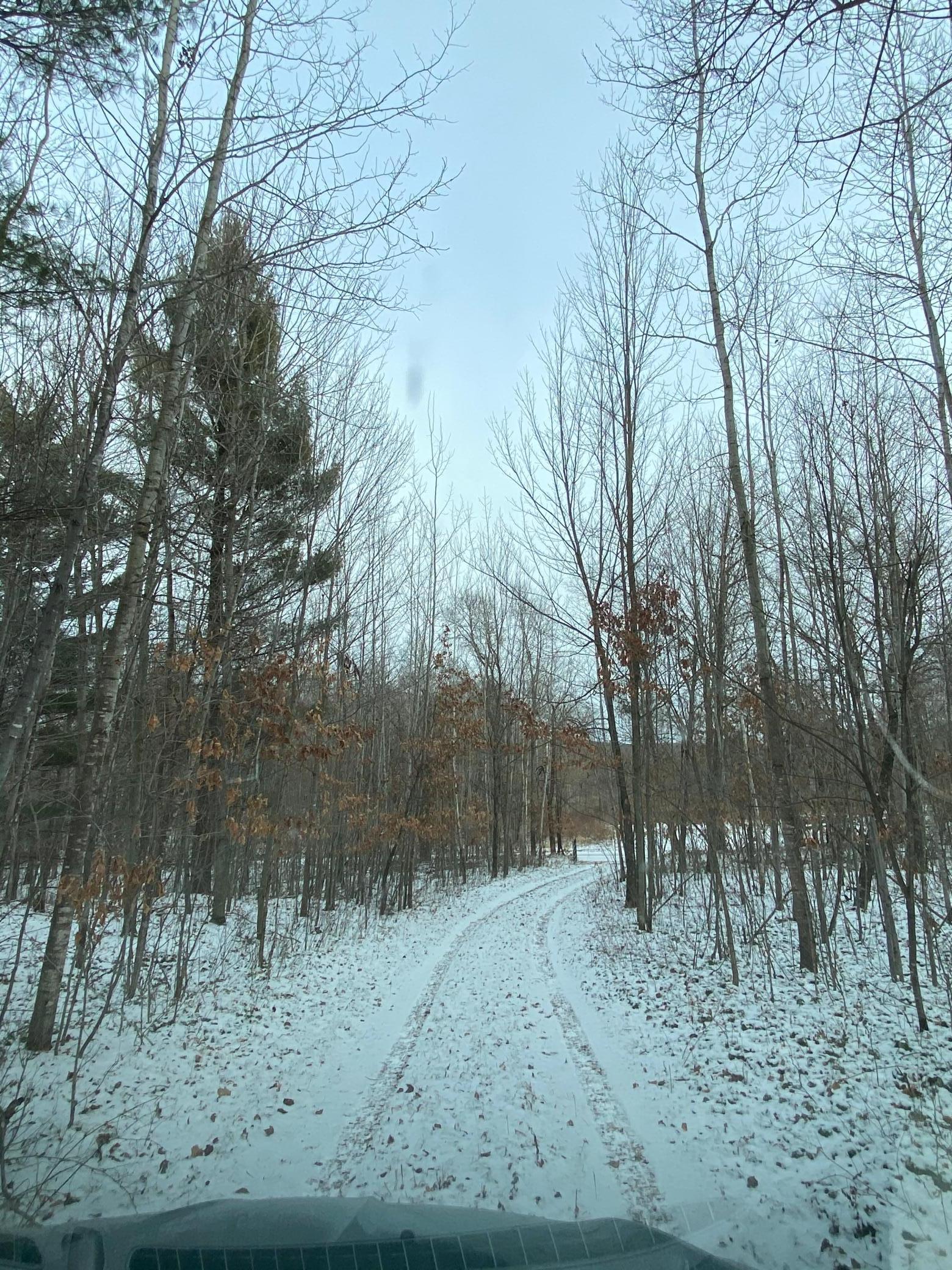 xxx 610th St, Ridgeland, WI 54763