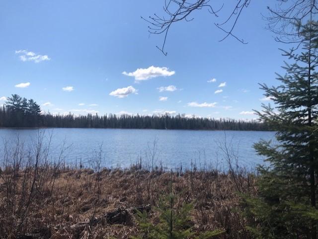 XXXX E Stone Lake Rd, Zim, MN 55738