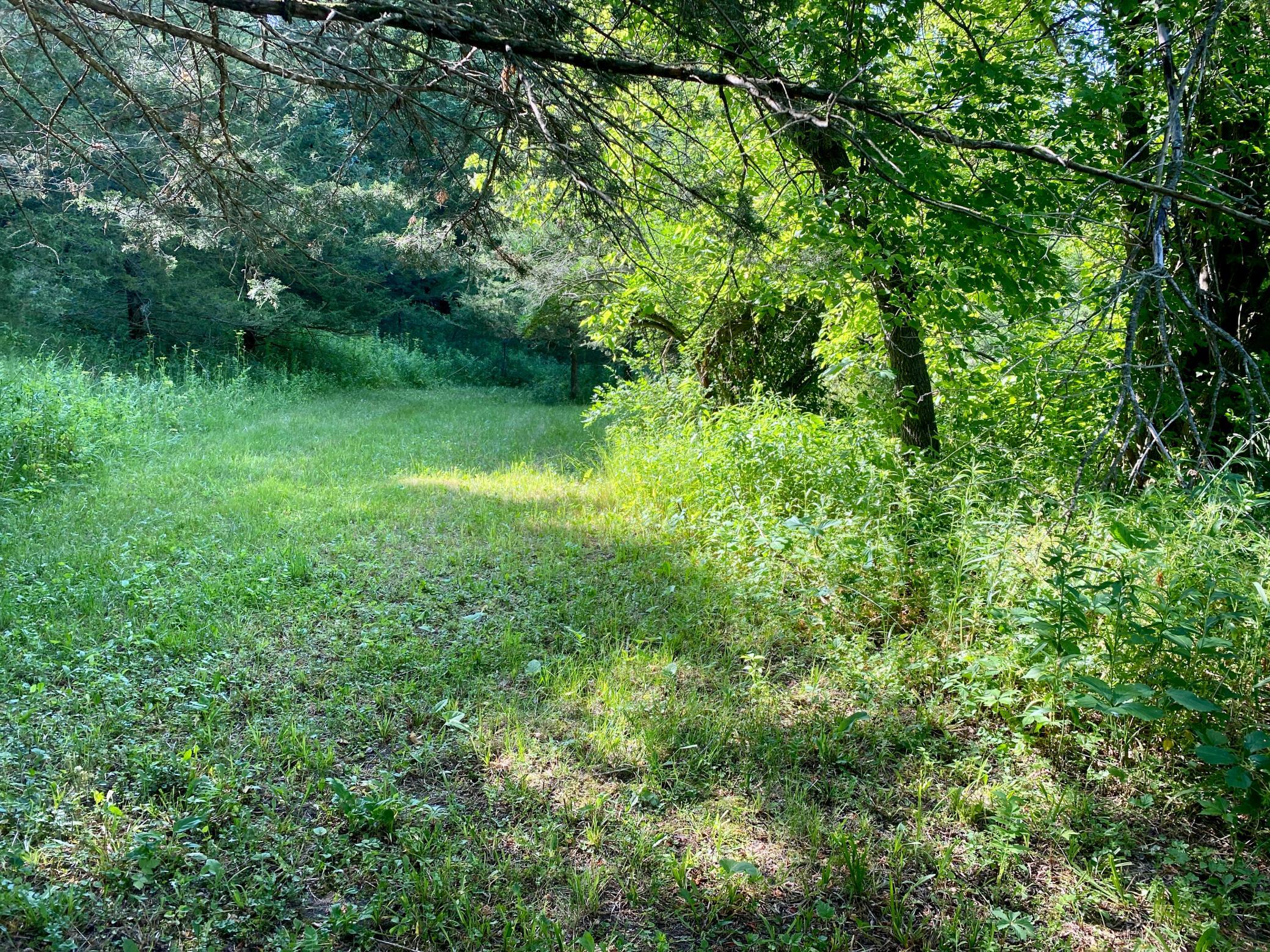 32675 Grit Rd, Lanesboro, MN 55949