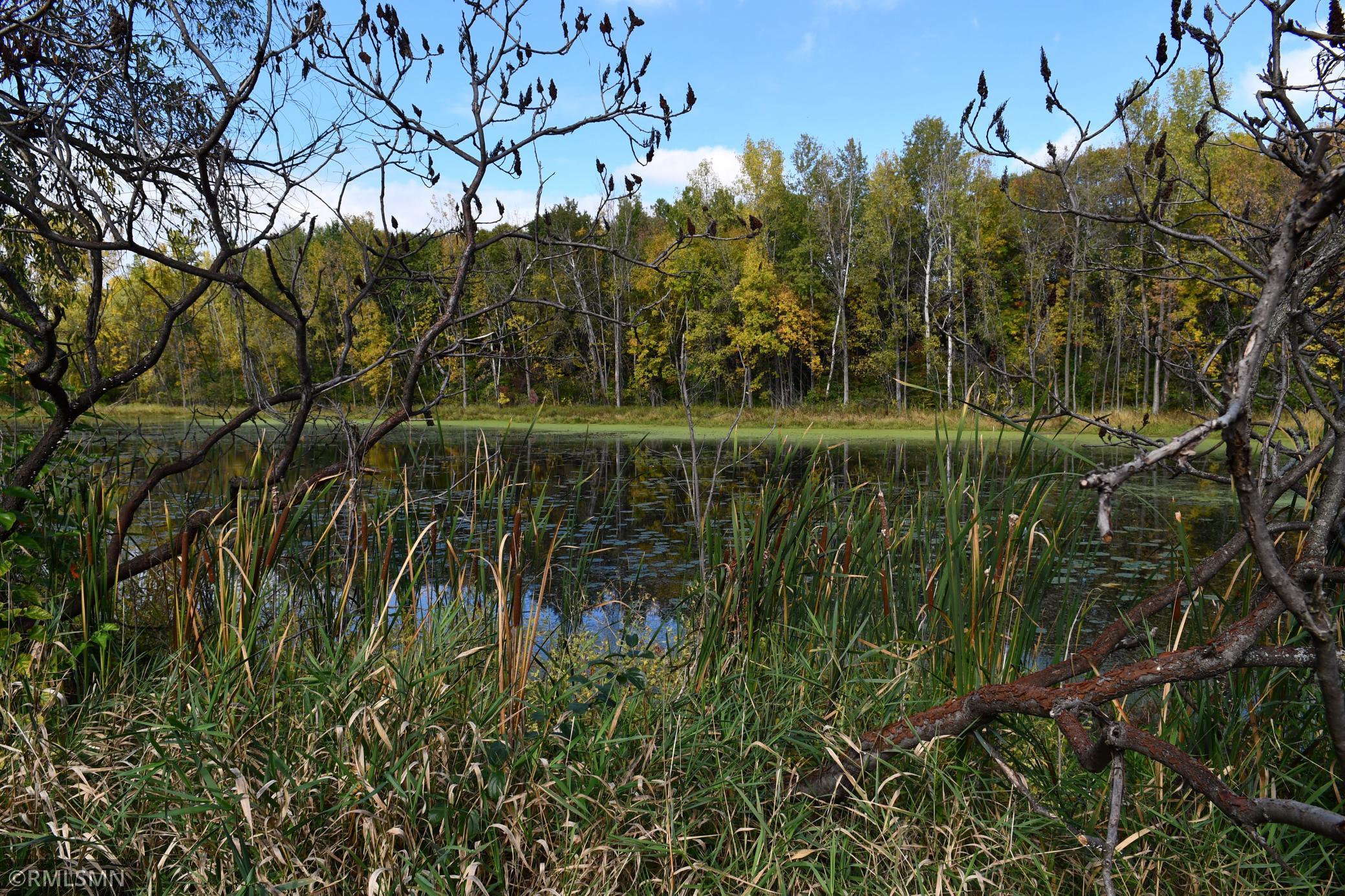 10655 Point Pleasant Rd, Chisago City, MN 55013