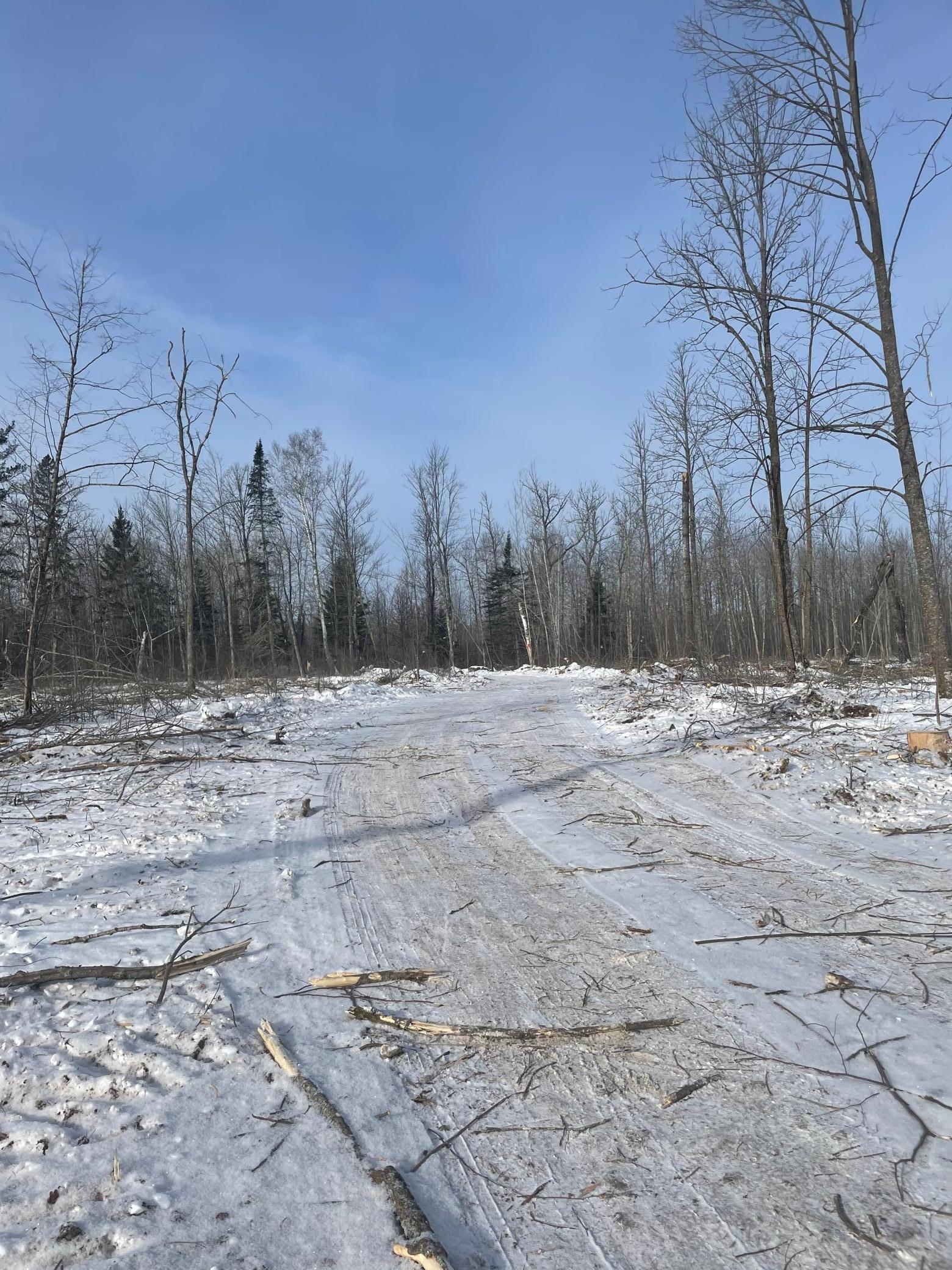 TBD Highway 73, Floodwood, MN 55736