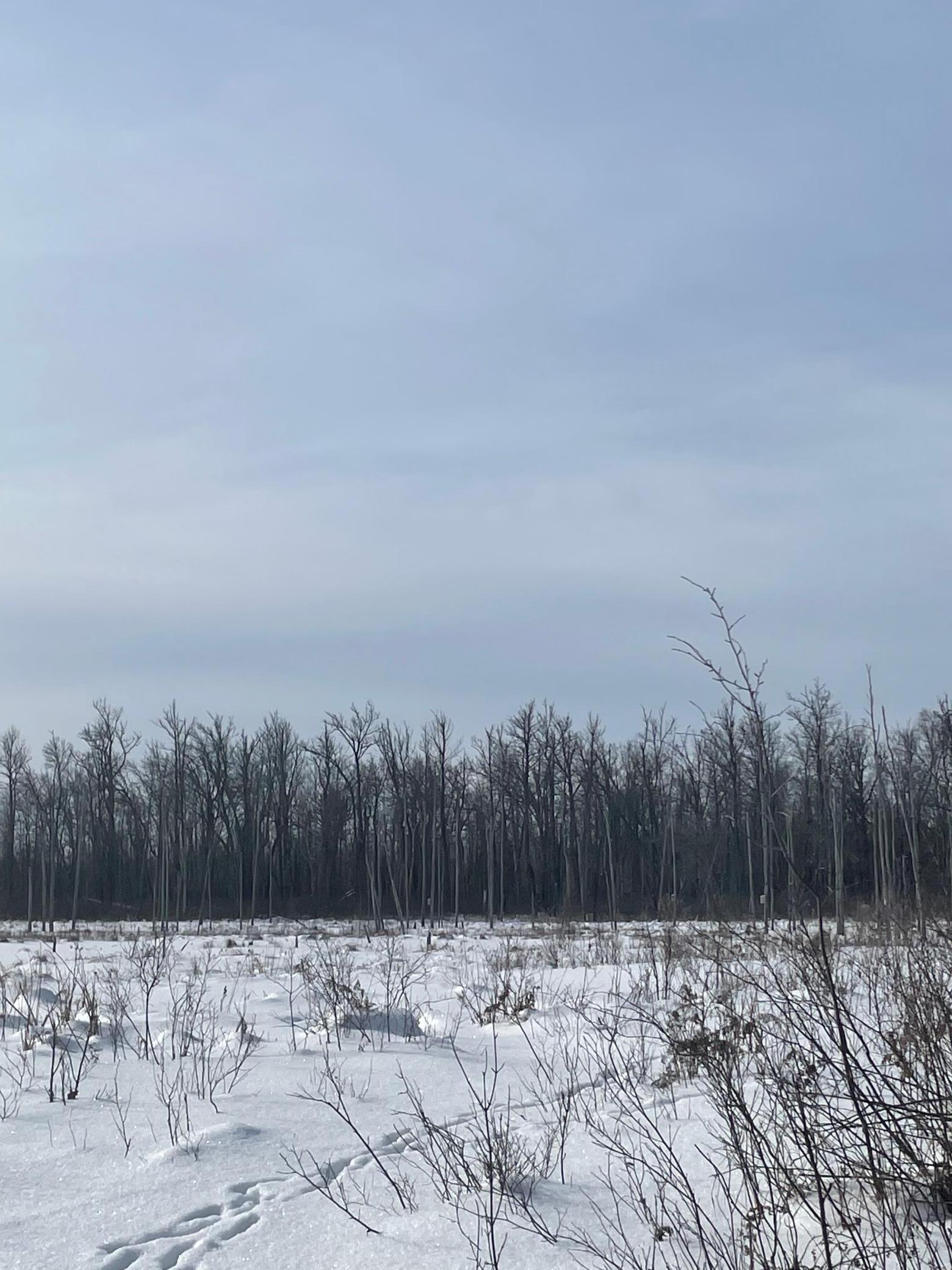 TBD Highway 73, Floodwood, MN 55736