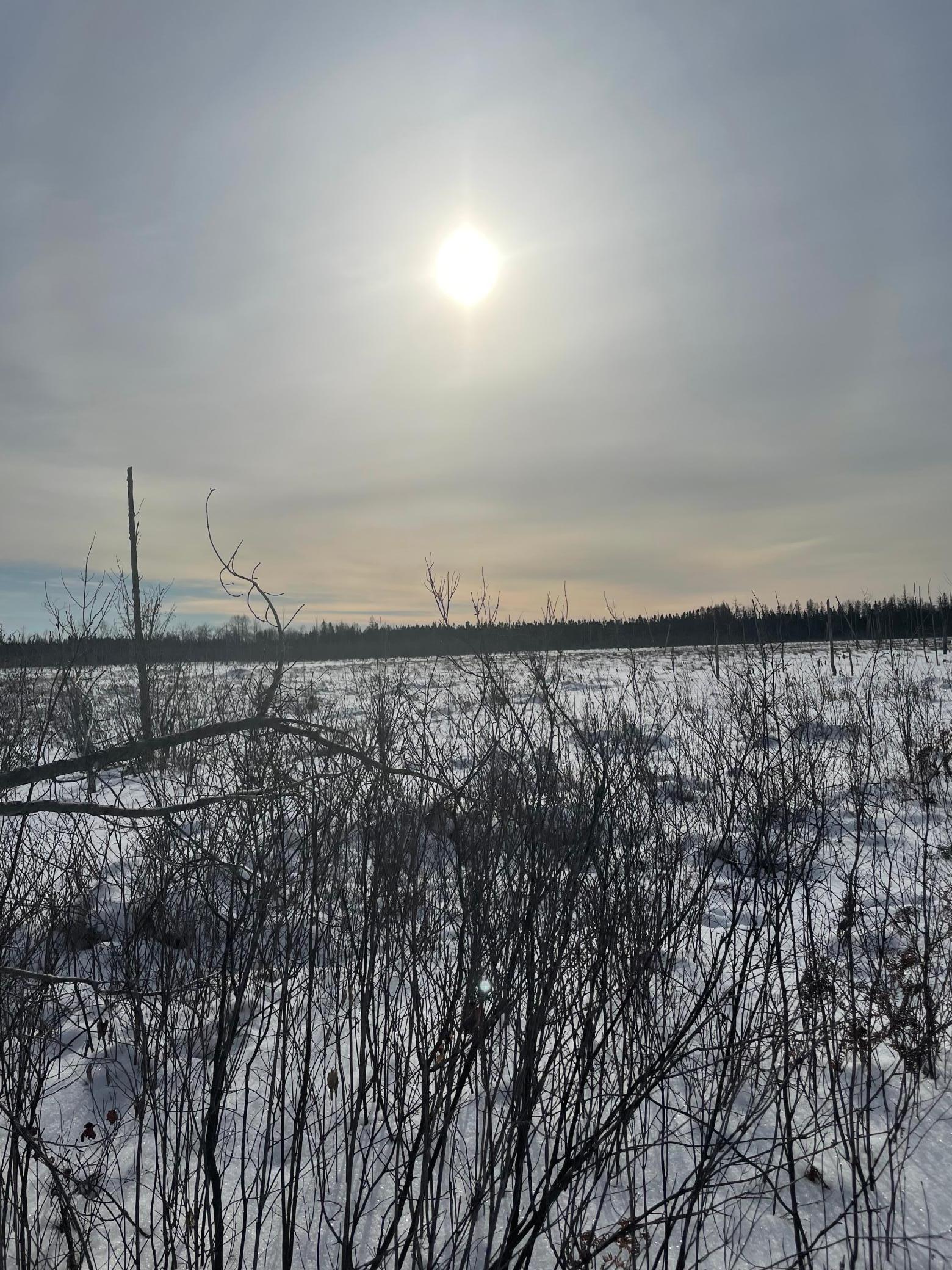 TBD Highway 73, Floodwood, MN 55736