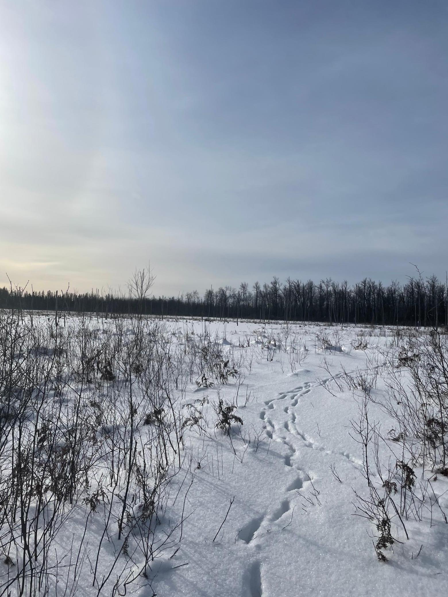 TBD Highway 73, Floodwood, MN 55736