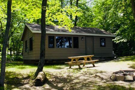 6198 Driftwood Ln, Pine River, MN 56474