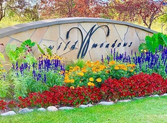 161 Primrose Ln, Medina, MN 55340