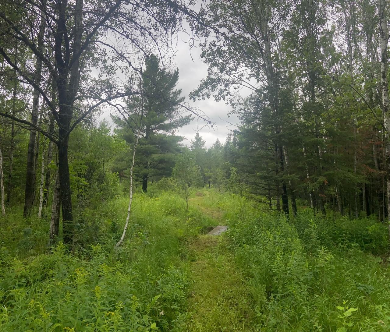 8835 Iron Junction Rd, Iron, MN 55751