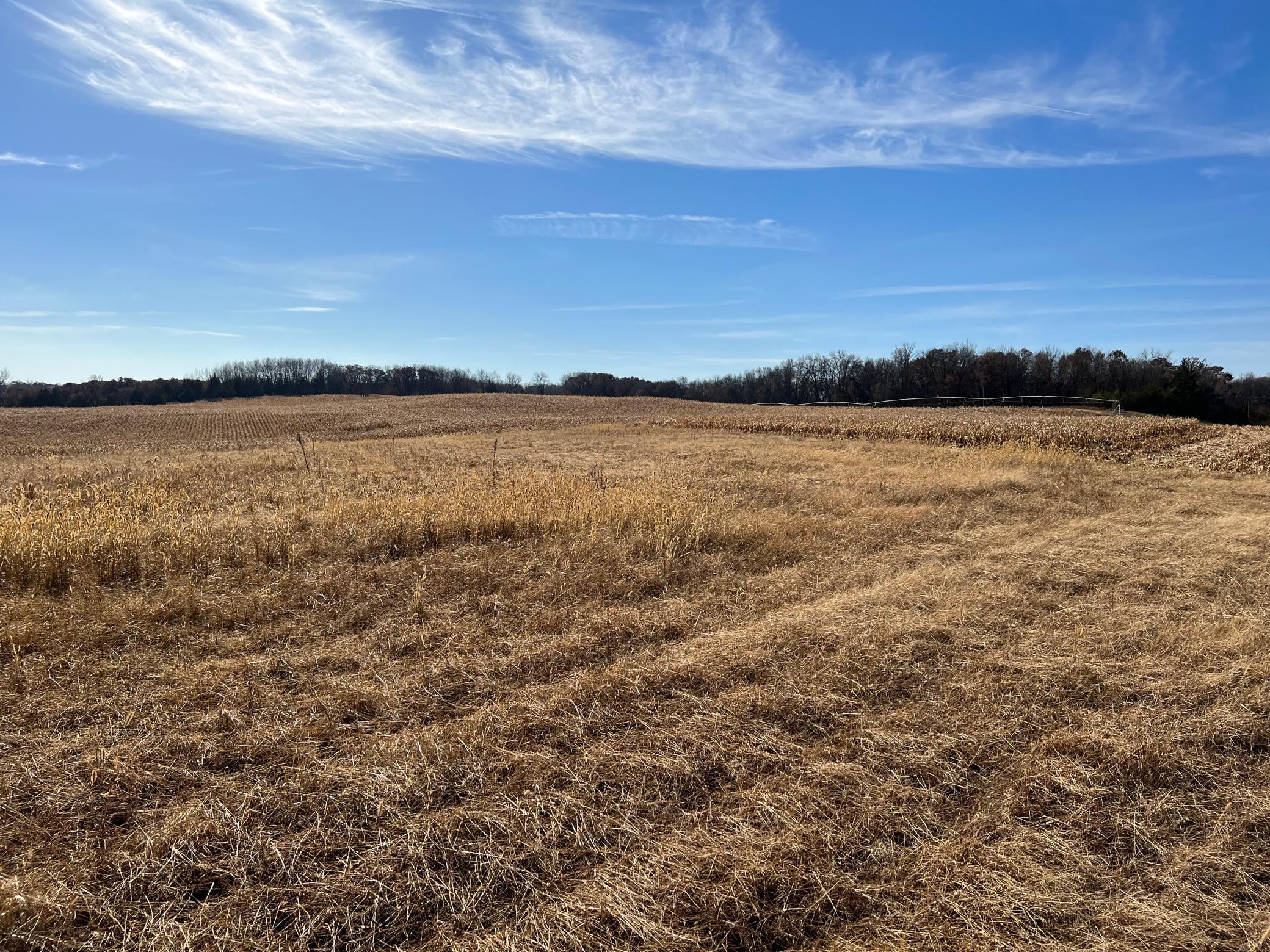 XXX 127th St Ne Tract D, Monticello, MN 55362