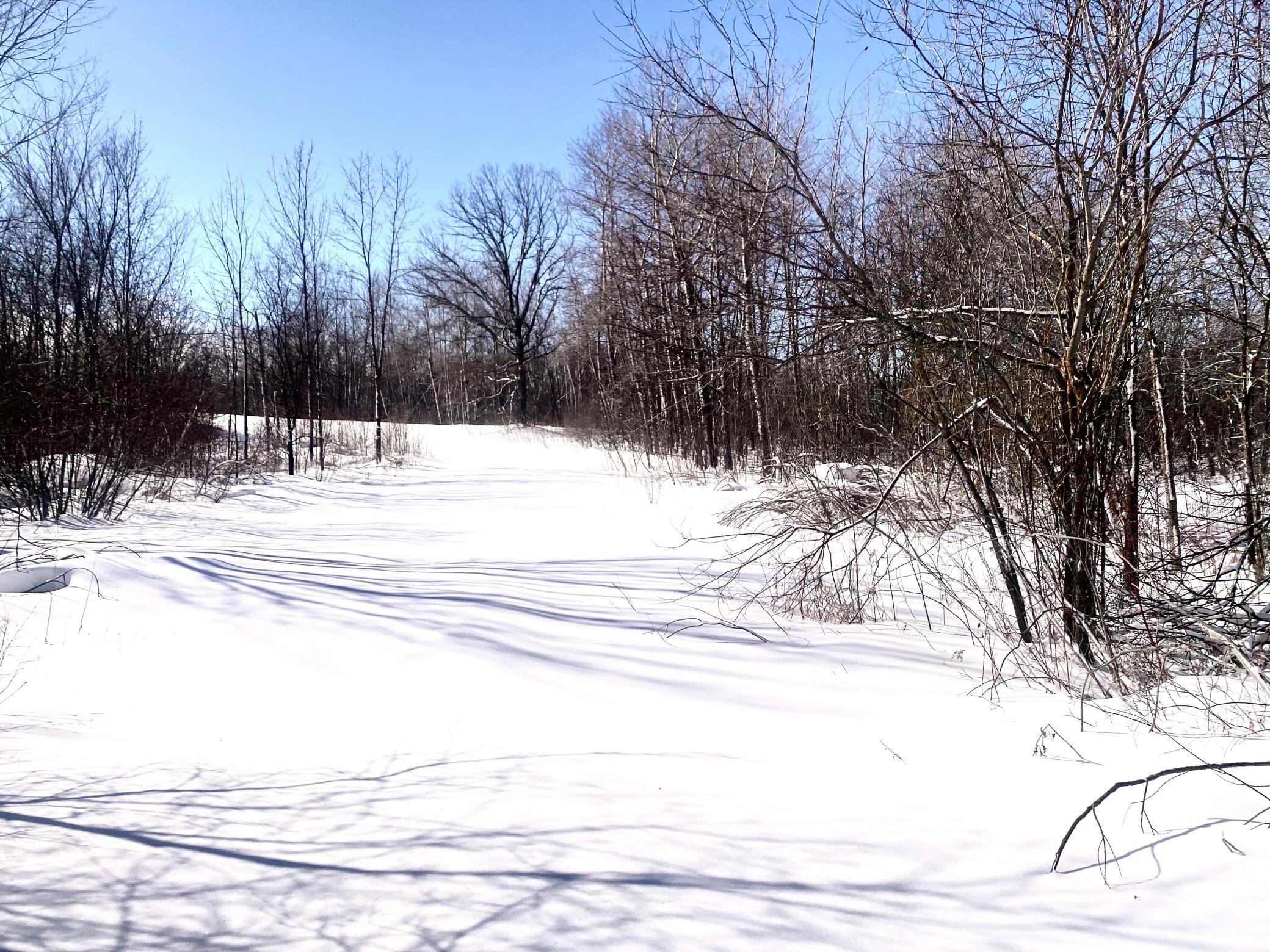 TBD-133Ac 93rd St, Hillman, MN 56338