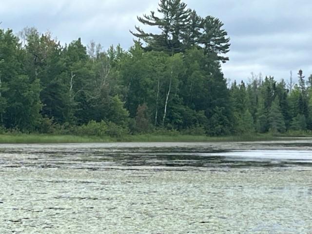 xxxx E Stone Lake Rd E, Zim, MN 55738