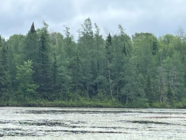 xxxx E Stone Lake Rd E, Zim, MN 55738