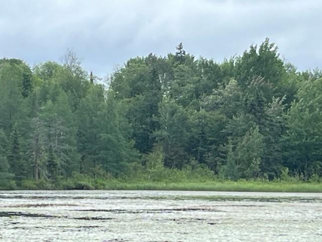 xxxx E Stone Lake Rd E, Zim, MN 55738