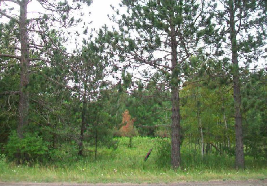 18XX County Rd 4, Carlton, MN 55718