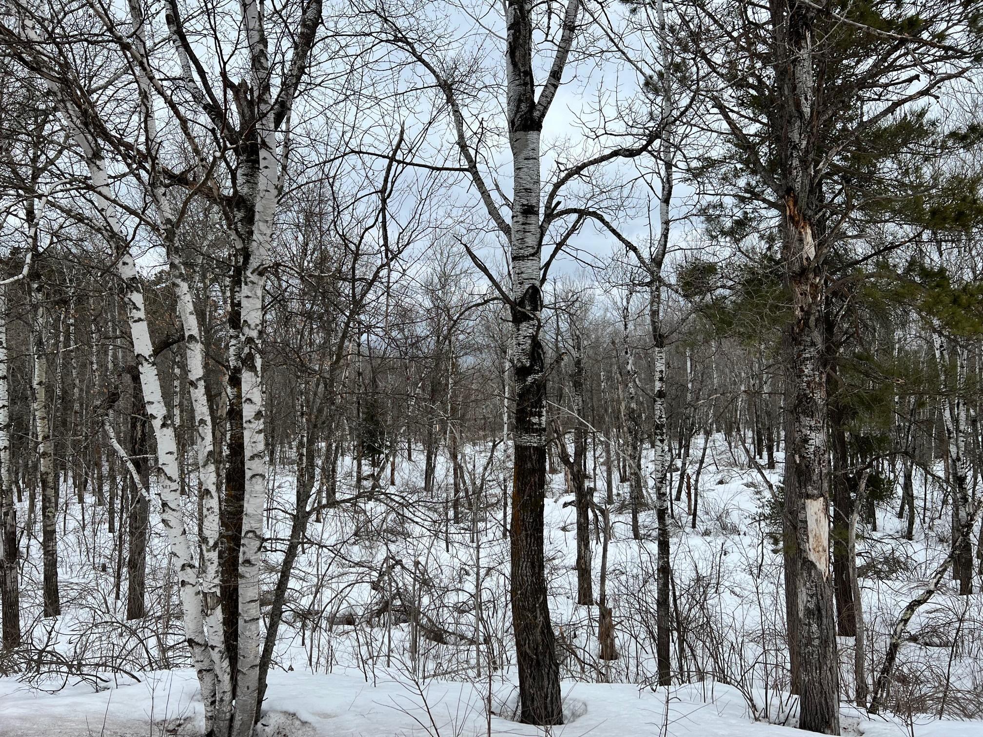 18XX County Rd 4, Carlton, MN 55718