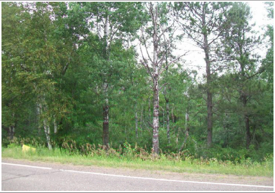 18XX County Rd 4, Carlton, MN 55718