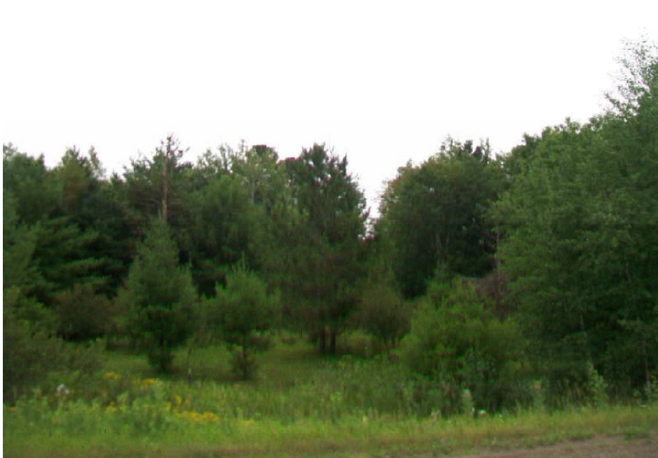 18XX County Rd 4, Carlton, MN 55718