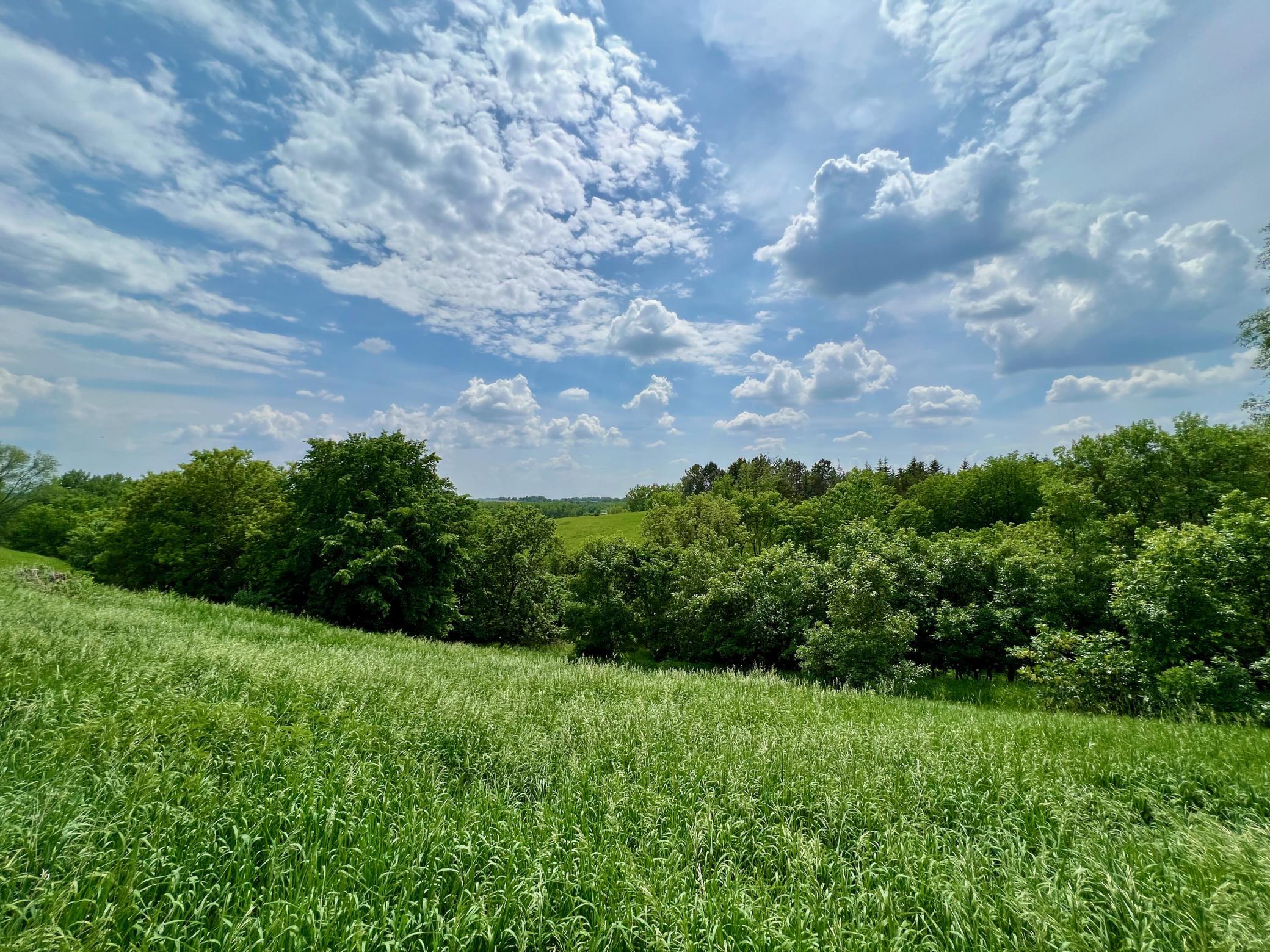 4016 Minnesota Ln SW, Montevideo, MN 56265