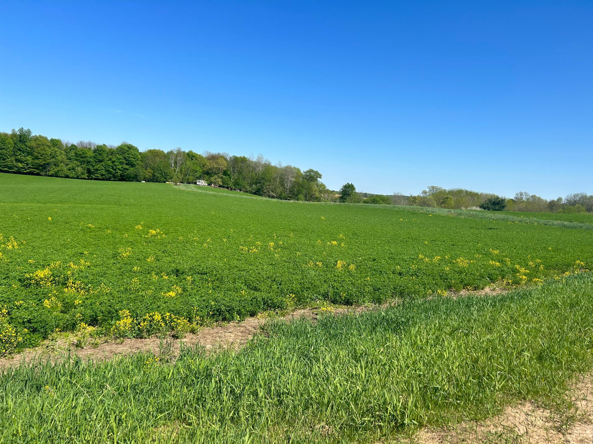 N14168 County Road Vv, Ridgeland, WI 54763