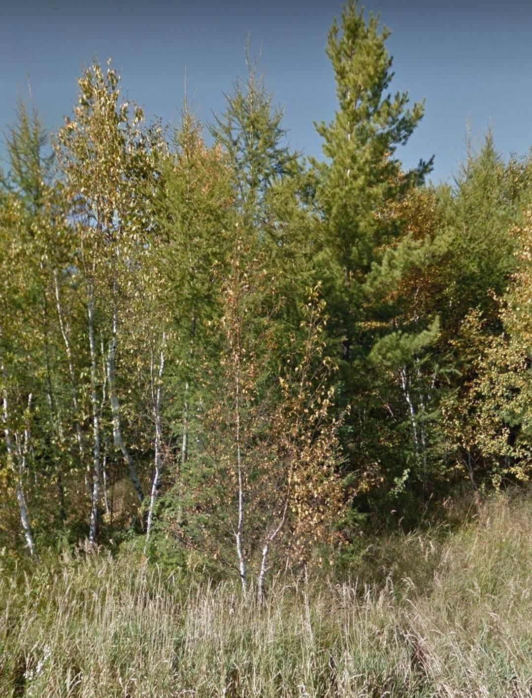XXXX Bachelor Sq, Meadowlands, MN 55765