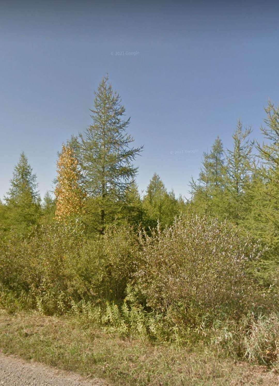 XXXX Bachelor Sq, Meadowlands, MN 55765