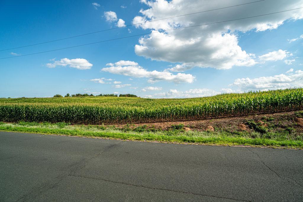 xxx Highway 65, Star Prairie, WI 54026