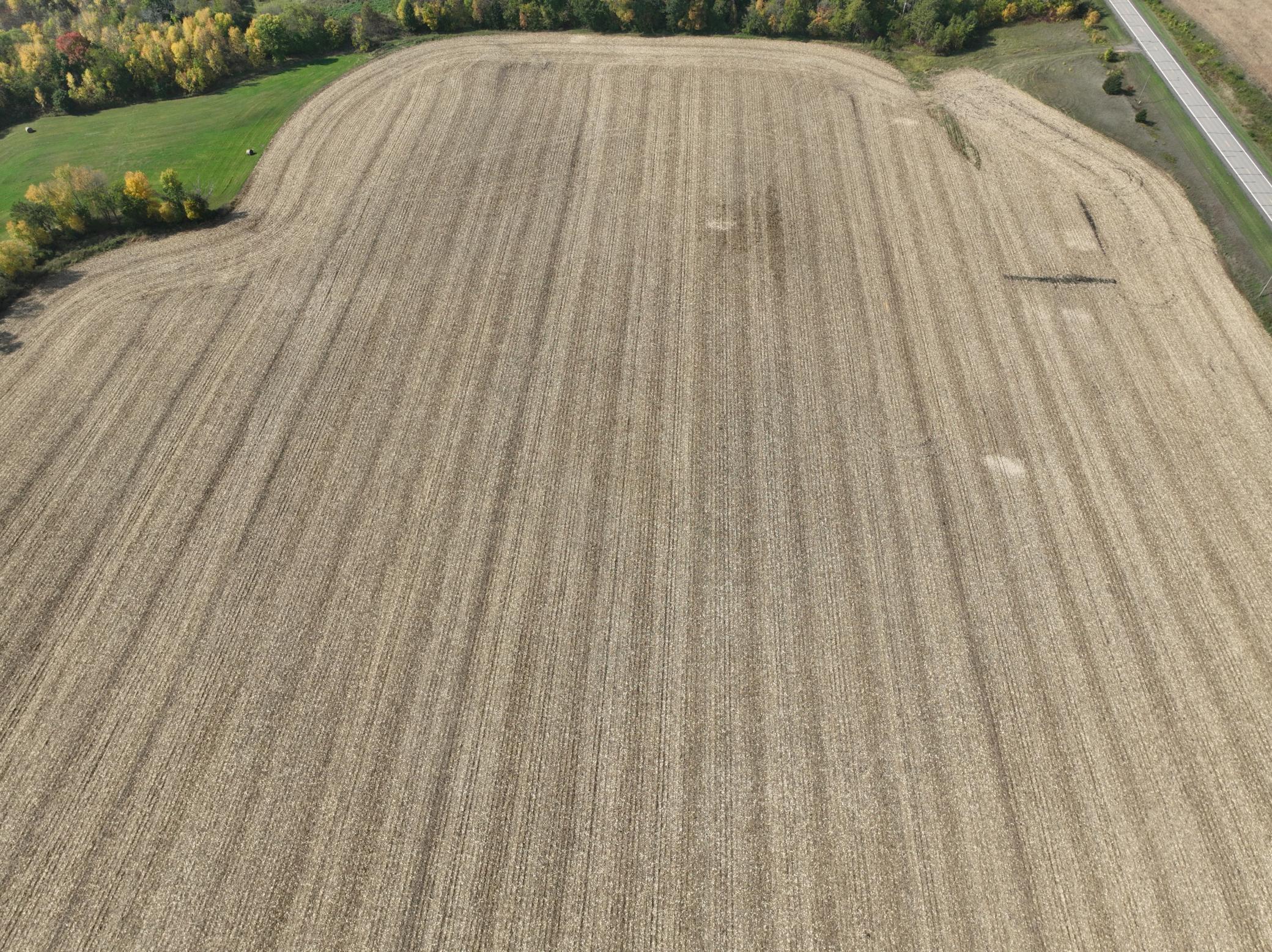 xxx Cty Rd 1, Montgomery, MN 56069