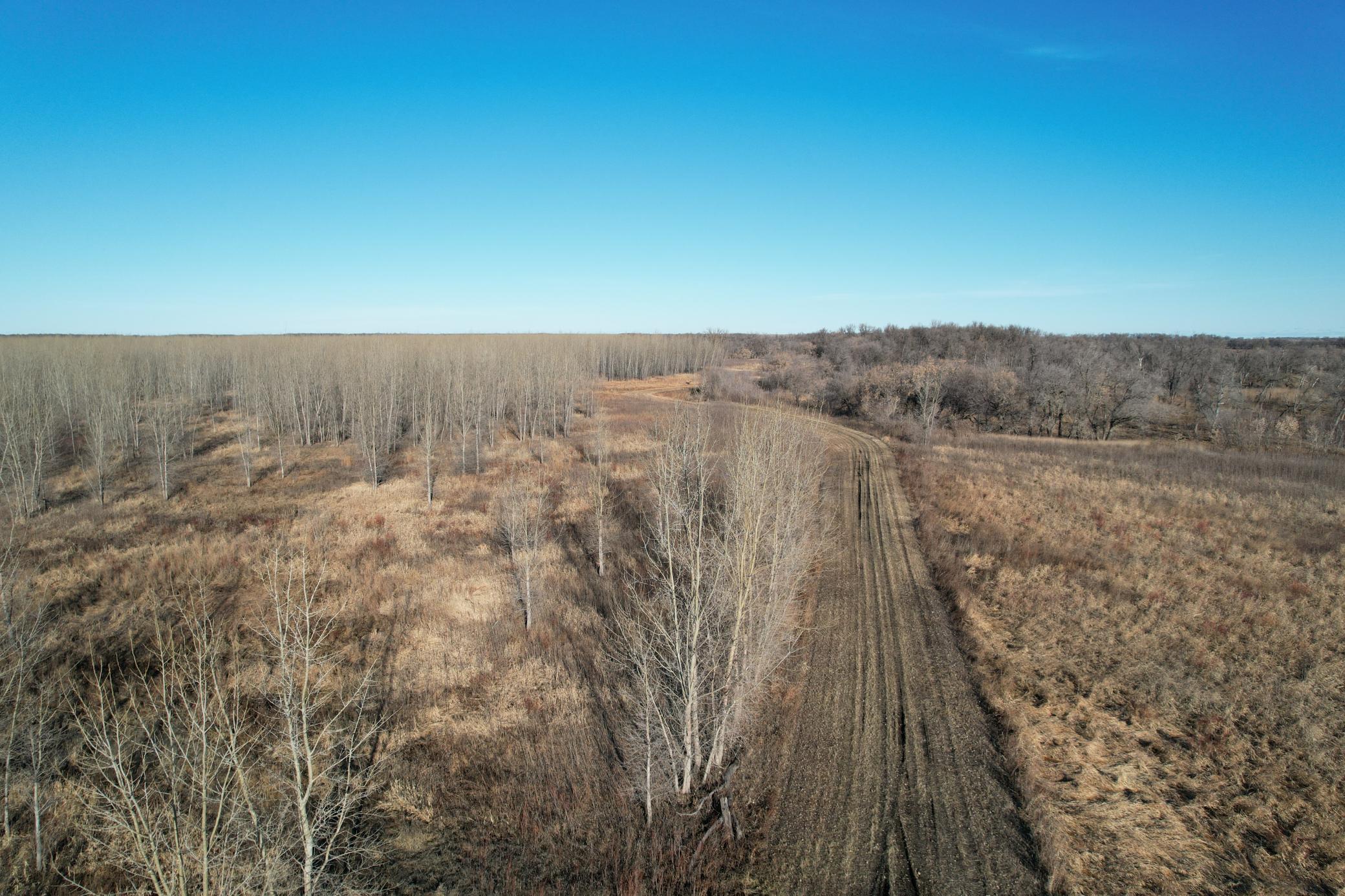 TBD State Hwy 220, Stephen, MN 56757