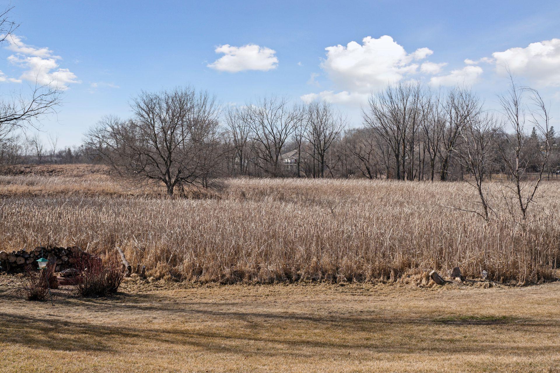 3451 Elm Creek Dr, Medina, MN 55340