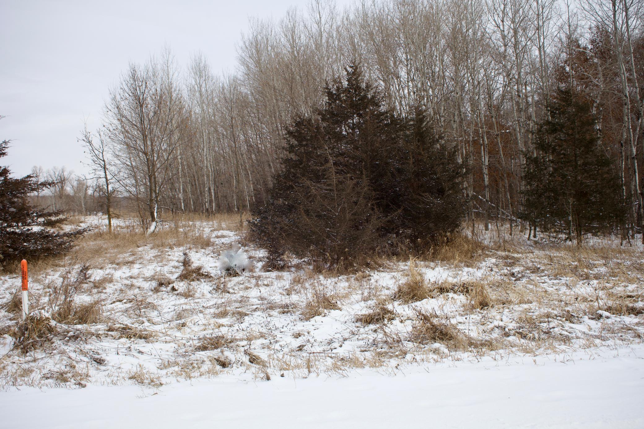 16XXX 4th Ave E, South Haven, MN 55382