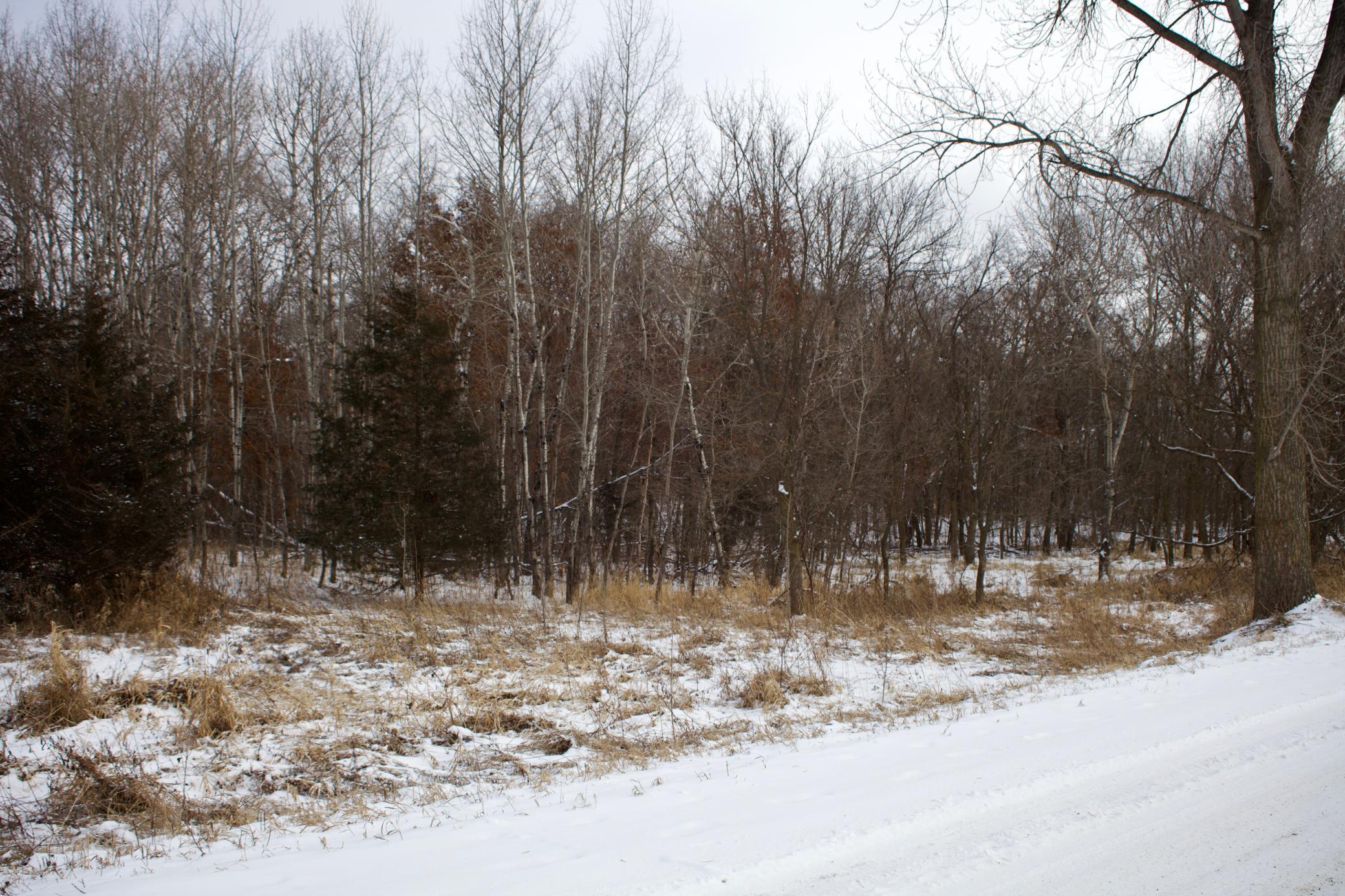 16XXX 4th Ave E, South Haven, MN 55382